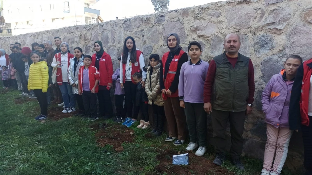 Gaziantep\'te depremde hayatını kaybeden 39 öğretmen anısına fidan dikildi