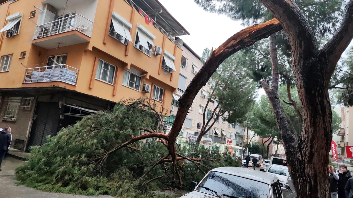 Aydın\'da Sağanak Yağış Sonucu Otomobilin Üzerine Ağaç Dalı Düştü