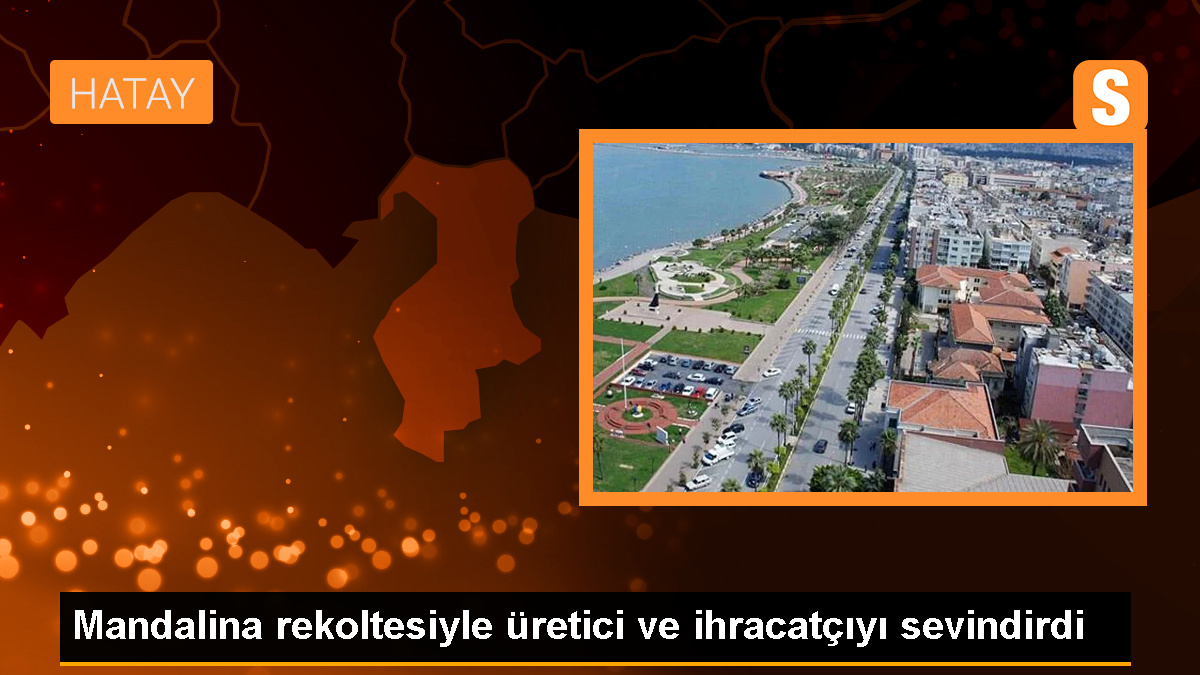 İzmir\'de Mandalina Üretimi ve İhracatı Artıyor