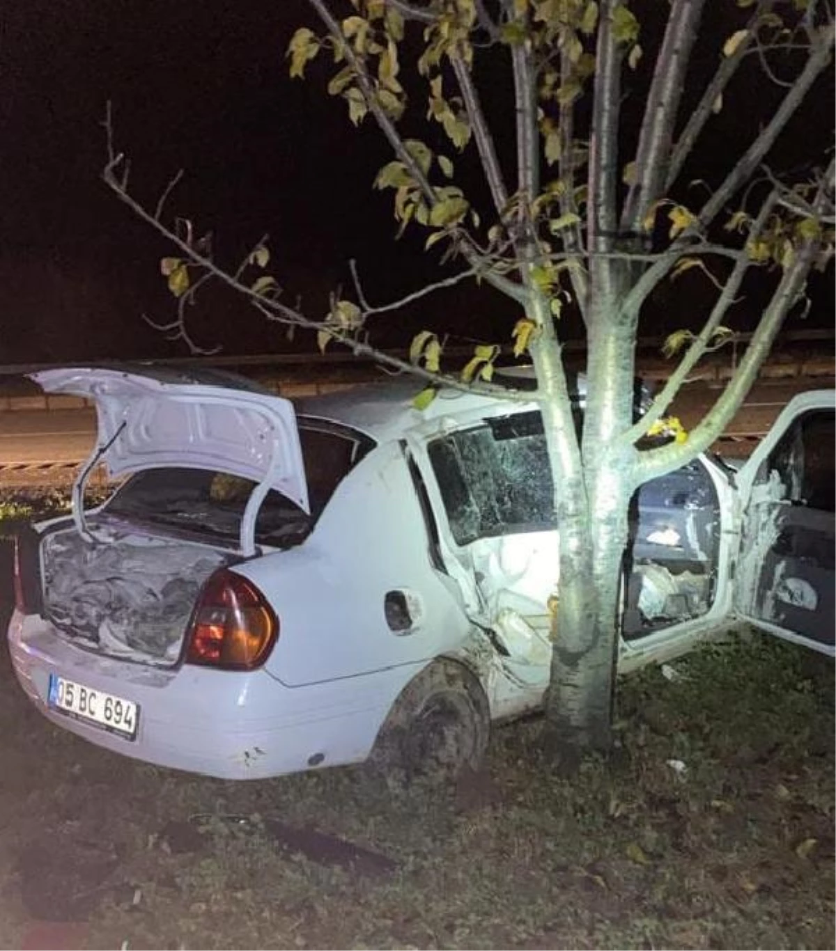 Amasya\'da Otomobil Ağaca Çarptı: 1 Ölü, 1 Yaralı