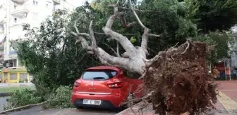 Antalya'da Şiddetli Yağış ve Fırtına Etkili Oldu