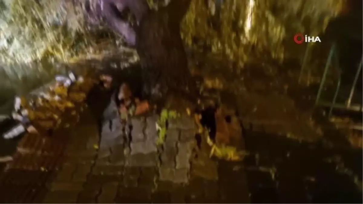 Edirne\'de şiddetli yağış ve fırtına yol trafiğe kapattı