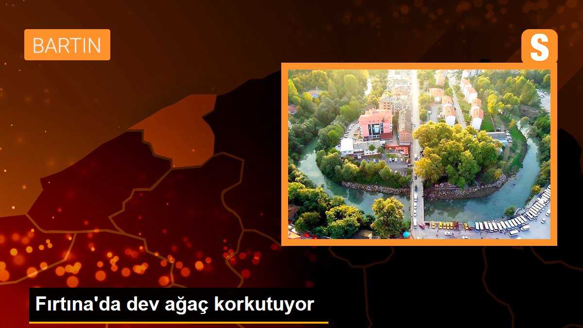 Fırtına\'da dev ağaç korkutuyor