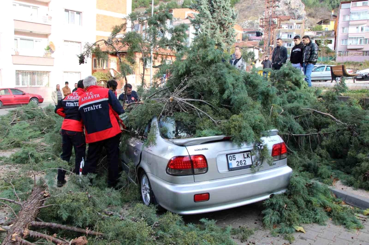 Amasya\'da fırtına nedeniyle yıkılan ağaç bir otomobilin üstüne devrildi
