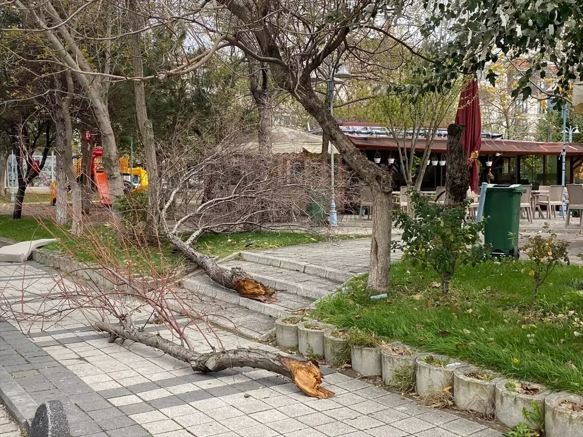 İstanbul\'da Fırtına: Ağaçlar Devrildi, Çatılar Uçtu