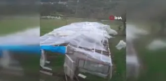 Kastamonu'da fırtına seraları vurdu