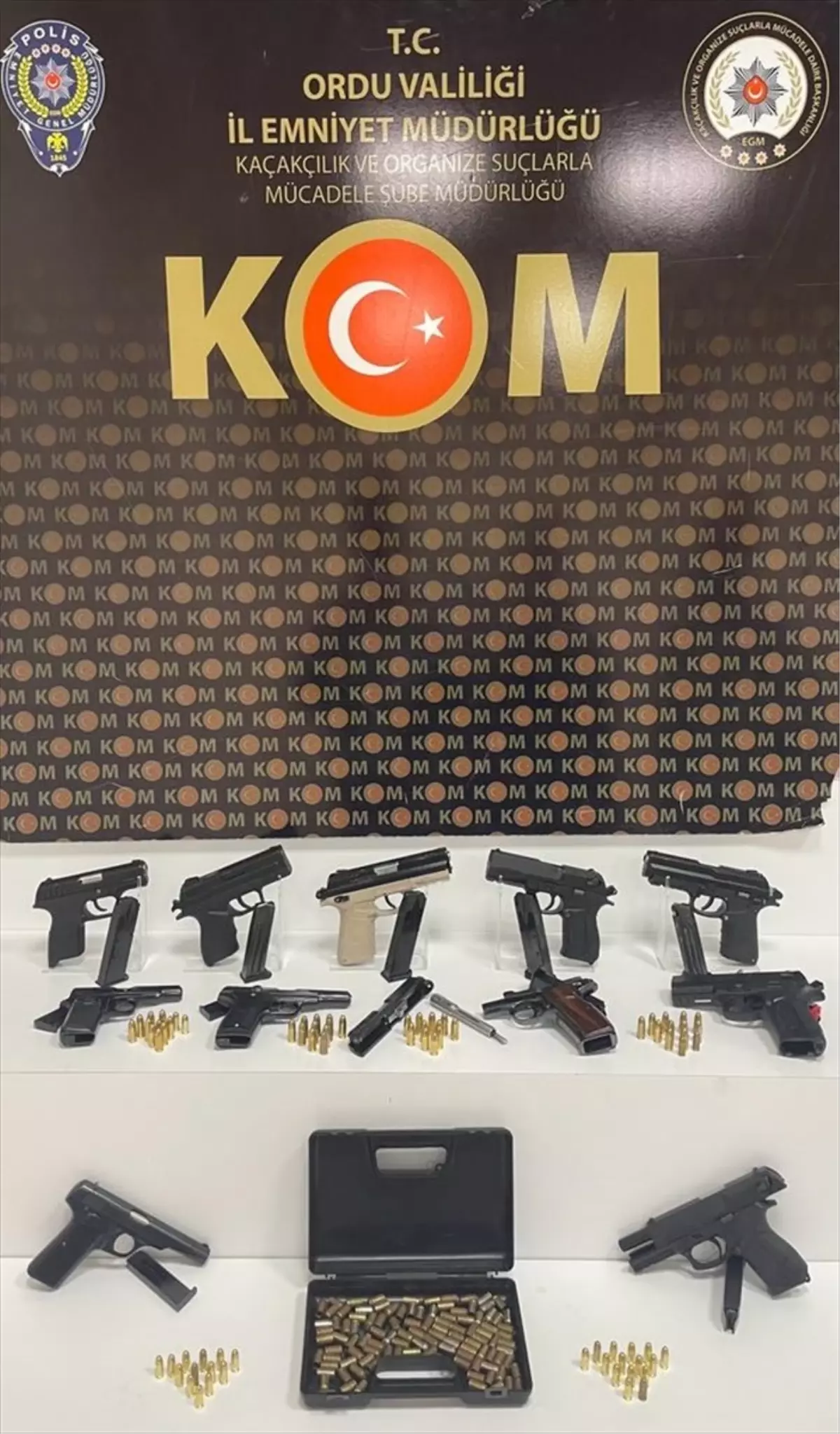 Ordu\'da 10 ruhsatsız tabanca ele geçirilen kişi tutuklandı