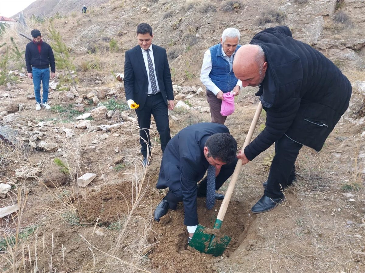 Sivas\'ın Zara ilçesinde tatlı badem tohumu ekimi yapıldı