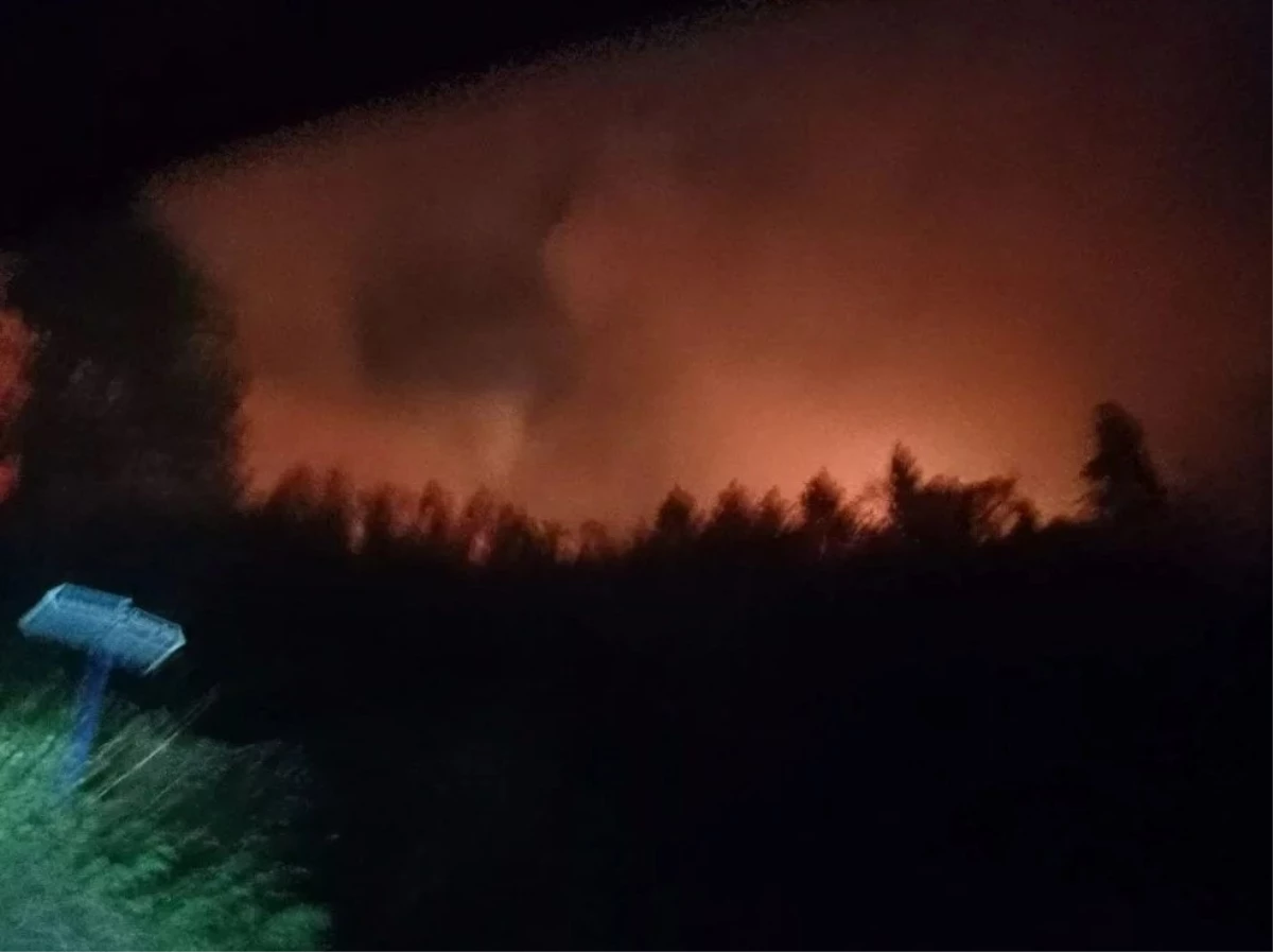 Trabzon\'un dört bir yanından gelen yangın ihbarları ekipleri teyakkuza geçirdi