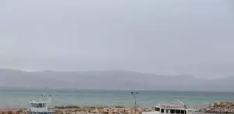 Van Gölü için özel komisyon kuruldu