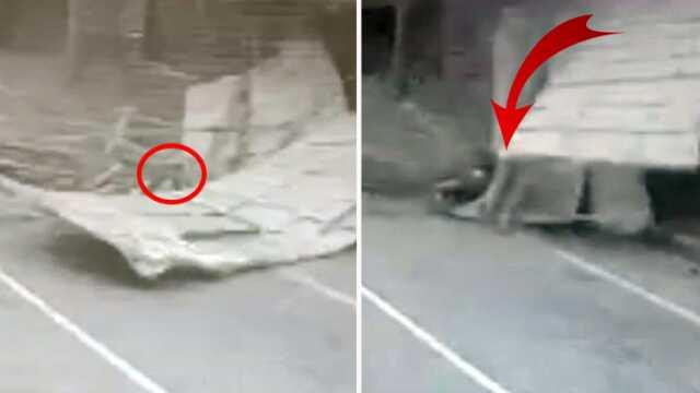 Yalova'da fırtınanın uçurduğu çatı vatandaşın üzerine düştü