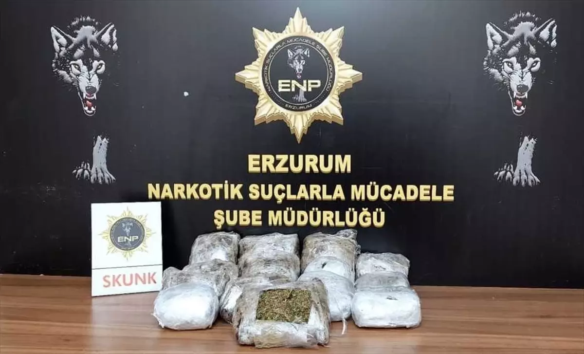 Erzurum\'da 3 kilo 819 gram skunk ele geçirildi, 1 zanlı tutuklandı