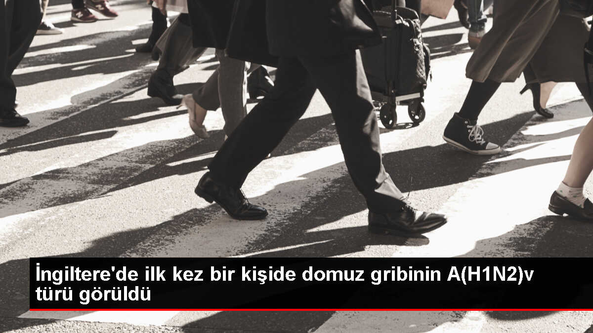 İngiltere'de domuzlardan insana geçen A(H1N2)v virüsü tespit edildi