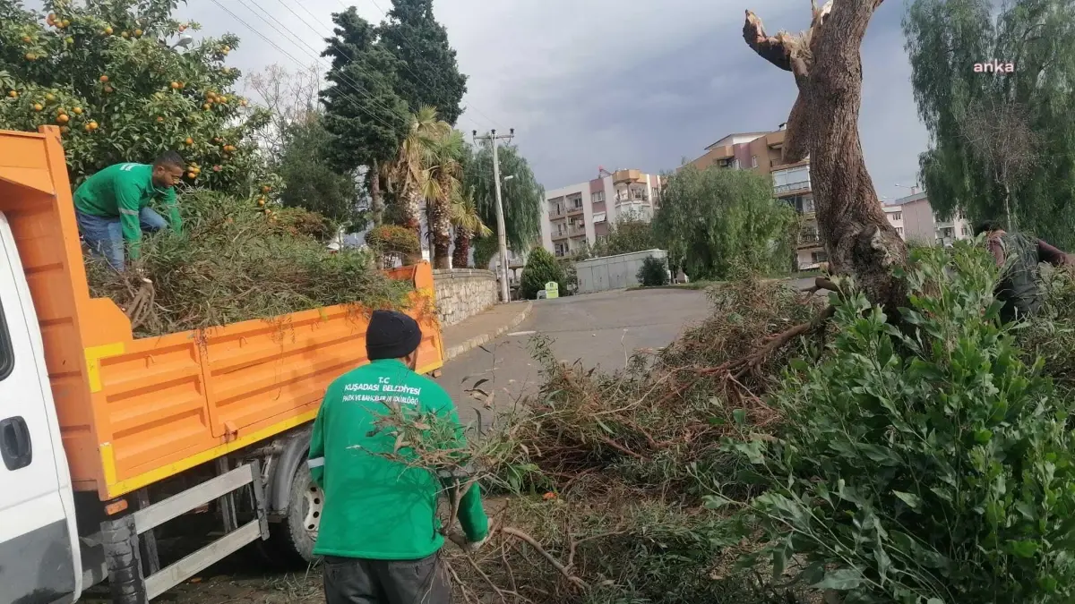 Kuşadası, şiddetli yağışı hasarsız atlattı