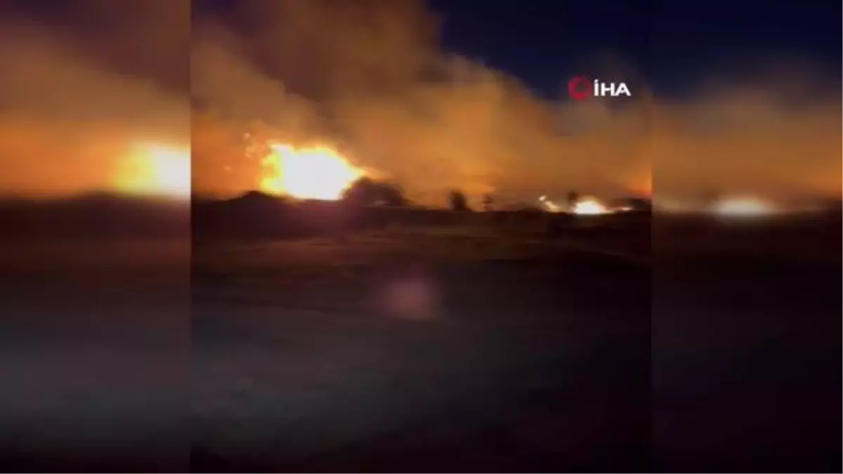 Manavgat\'ta sazlık alanda yangın