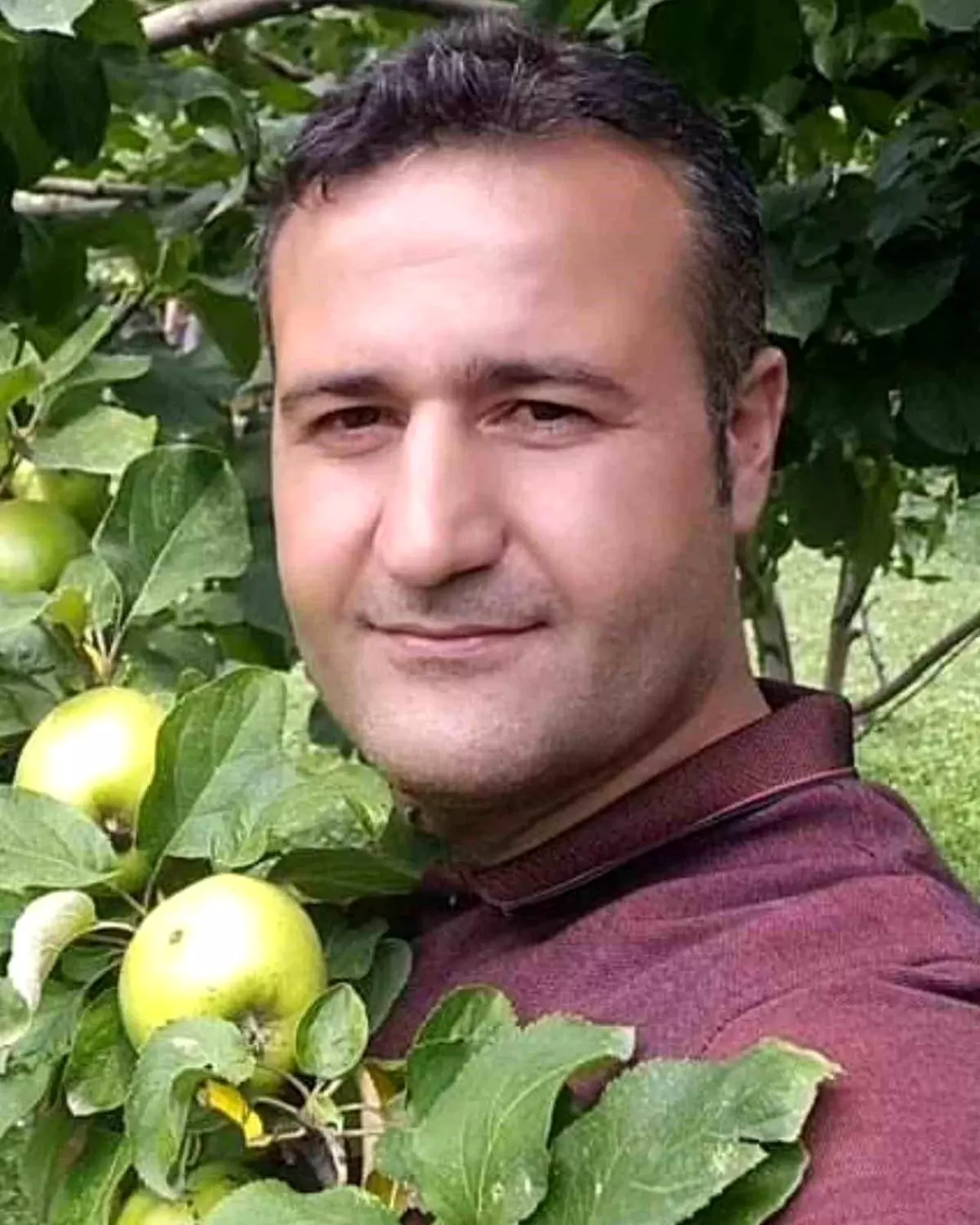 Şanlıurfa\'da Otomobil Kazası: Sürücü Hayatını Kaybetti