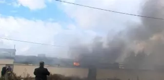 Sarıyer'de Tavuk Çiftliğinde Yangın Çıktı