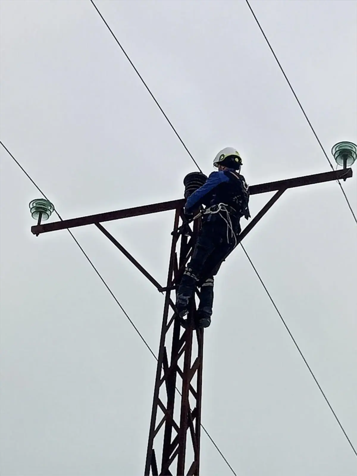 SEDAŞ, olumsuz hava koşullarına rağmen kesintisiz enerji sağlamak için çalışmalarını sürdürdü