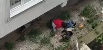 Kadın sevgilisini pencereden itti, suçlamaları reddetti