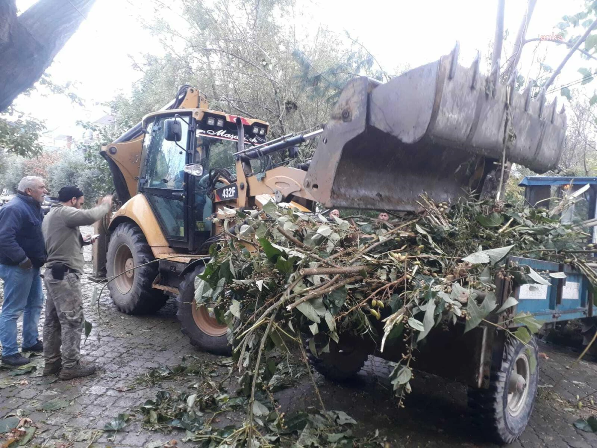 Turgutlu Belediyesi Fırtına ve Yağış Sonrası Devrilen Ağaçlara Müdahale Etti