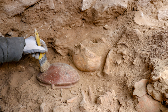 Van'da yapılan kazılarda beyin ameliyatı izleri tespit edilen 400 iskelet bulundu