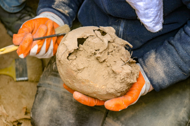 Van'da yapılan kazılarda beyin ameliyatı izleri tespit edilen 400 iskelet bulundu