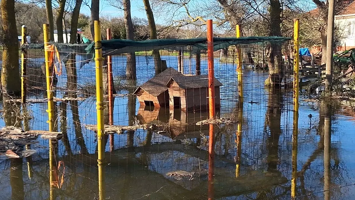 Samsun Bafra\'da fırtına tarım alanlarına zarar verdi
