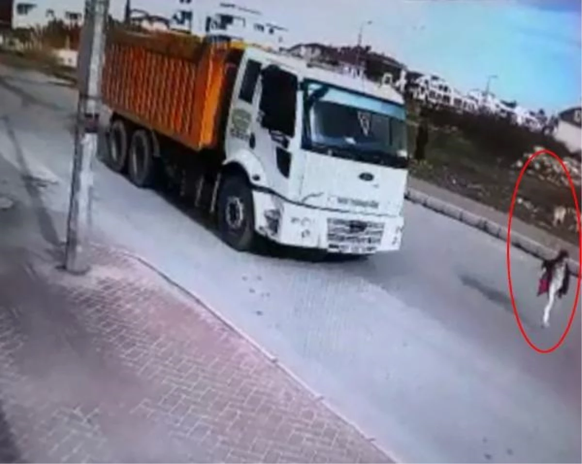 Sokak köpeğinden kaçarken kamyon çarpan çocuğun ailesine 3,9 milyon lira tazminat ödenmesi kararı
