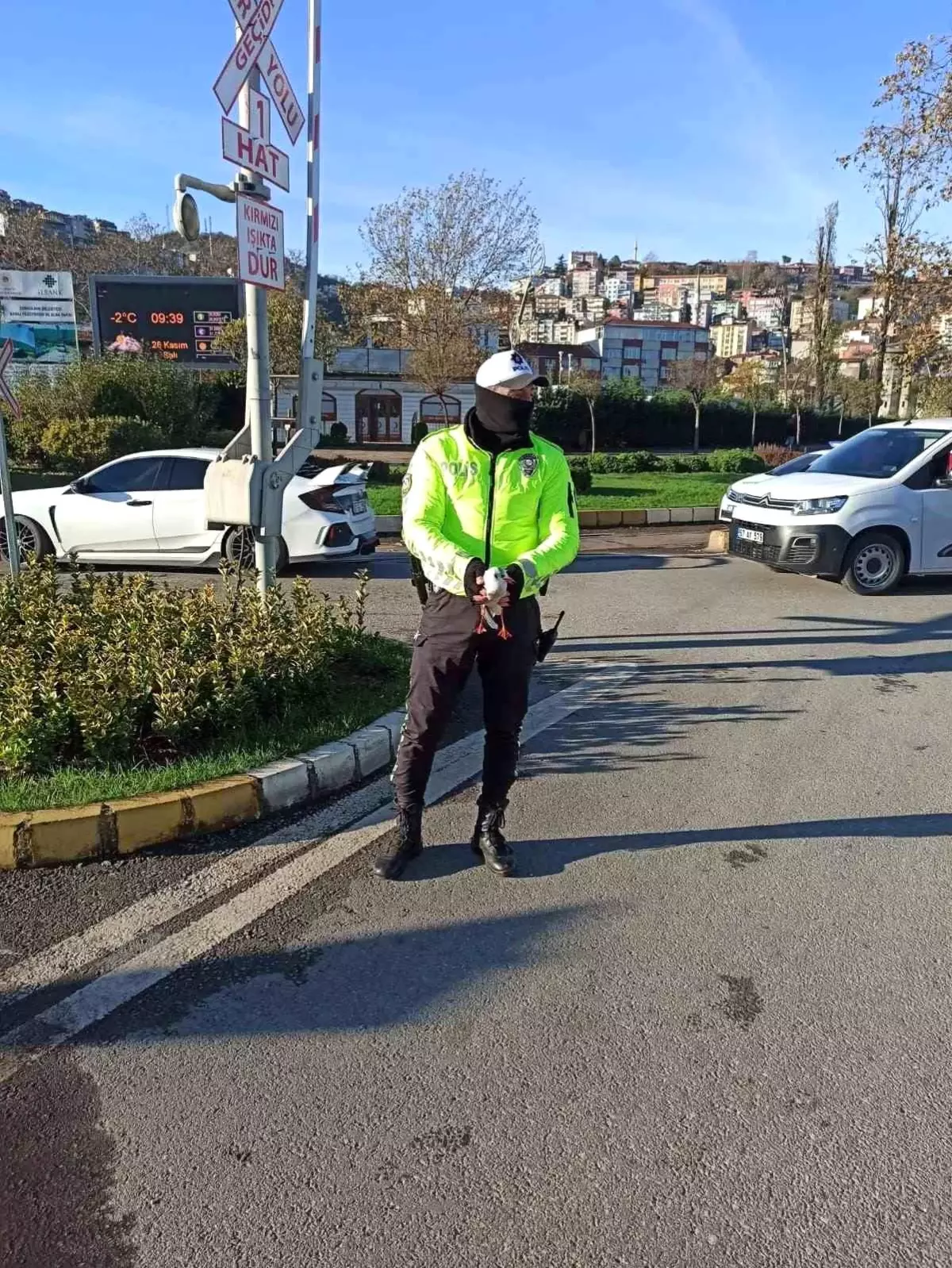 Zonguldak\'ta Polis Ekipleri Uçamayan Yaralı Martıyı Koruma Altına Aldı