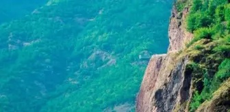 Artvin'de Cam Seyir Terasından Düşen Kadın Hayatını Kaybetti