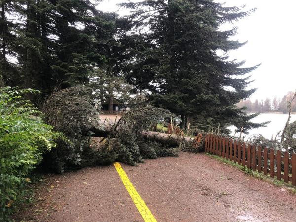 Bolu'da Kuvvetli Rüzgar Gölcük Tabiat Parkı'nda Hasara Yol Açtı