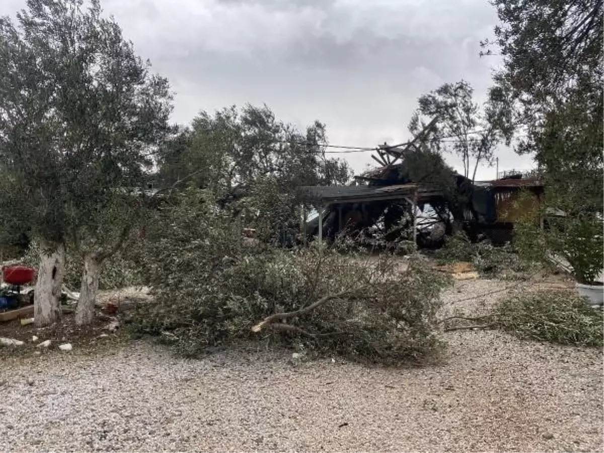 Ayvacık\'ta Hortumun Vurduğu Bölgede Hasar Tespiti Yapılıyor