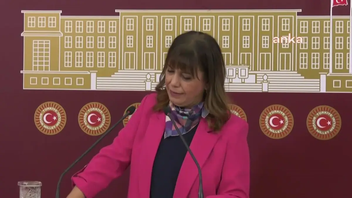 Meral Danış Beştaş: "En Fazla Hayal Satılan Dönemin AKP İktidarında Olması Tesadüf Değil. Parti Olarak Onlarca Hayal Sattıkça, Köprüyü Satan Sülün...