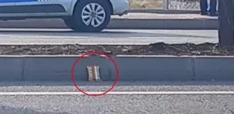 Diyarbakır'da otomobilin çarptığı çocuk hayatını kaybetti