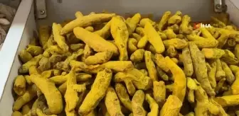 Soğuklar Geldi, Bitki Çaylarına Rağbet Arttı