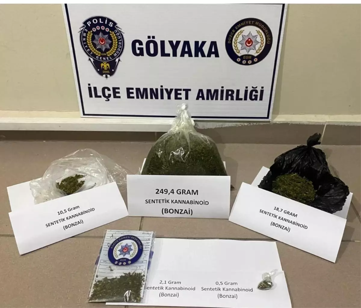 Düzce\'de Bonzai Operasyonu: 1 Tutuklama, 5 Adli İşlem