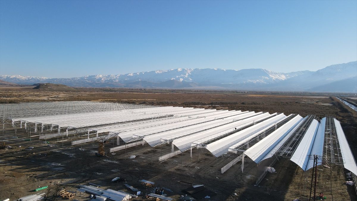 Erzincan\'da Jeotermal Kaynakla Sebze Üretimi İçin Çalışmalar Başladı