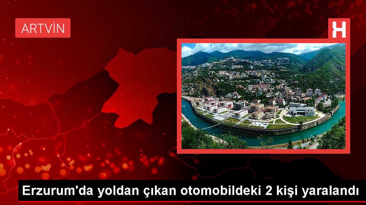 Erzurum'un Tortum ilçesinde otomobil kazası: Sürücü ve eşi yaralandı