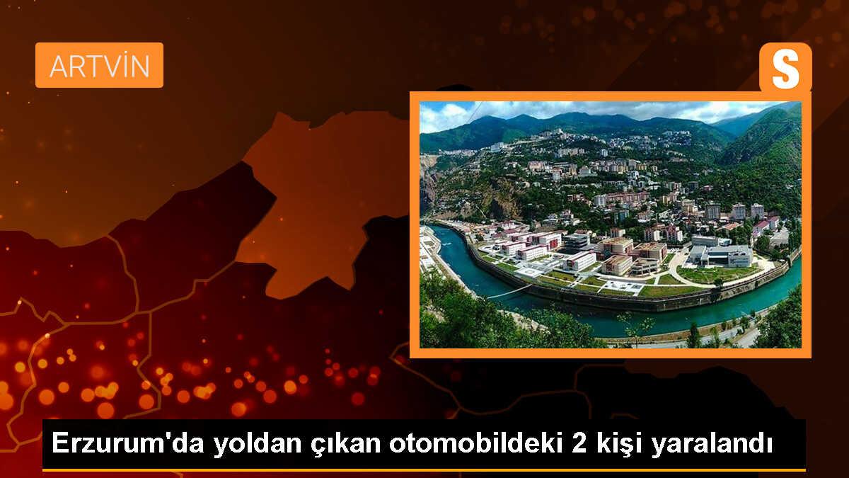 Erzurum\'un Tortum ilçesinde otomobil kazası: Sürücü ve eşi yaralandı