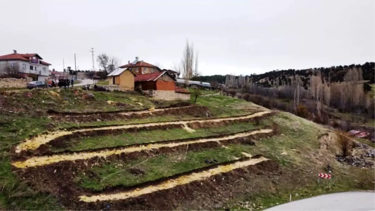 Kütahya\'da gıda ormanı çalışması