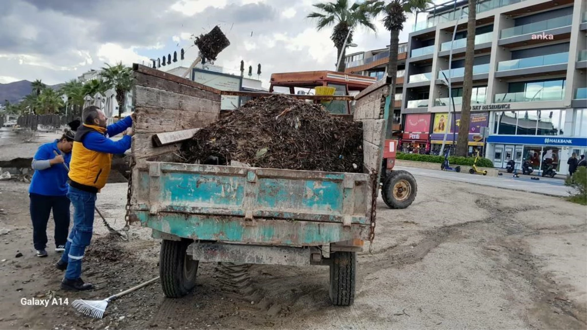 Marmaris\'te Lodos Sonrası Sahil Temizliği