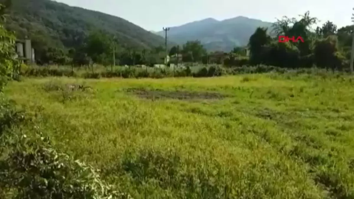 İranlı emlakçı ile eşini öldürüp parçalara ayırarak toprağa gömen adam 50 yıl hapis cezasına çarptırıldı