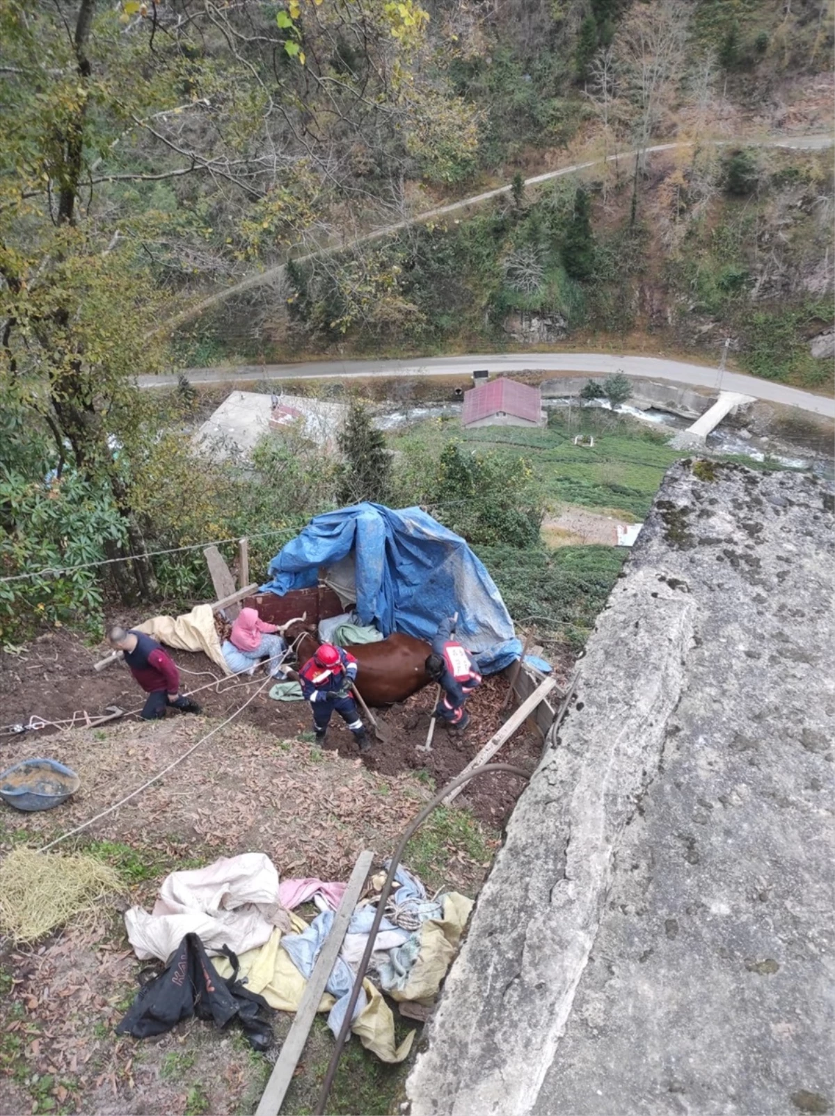 Trabzon\'da mahsur kalan hamile inek kurtarıldı
