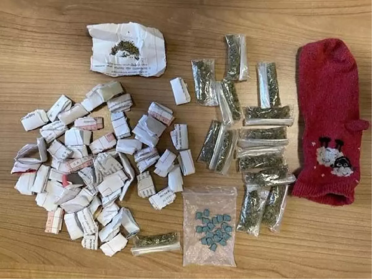 Van'da torbacılara operasyon: 27 gözaltı