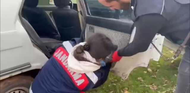 48 ilde Narkogüç-38 operasyonu: 6 tondan fazla uyuşturucu ele geçirildi, 391 zehir taciri yakalandı