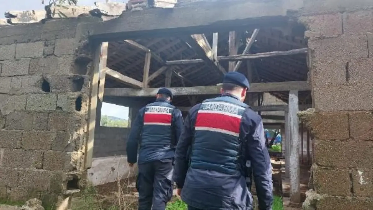 Bursa'da 49 firari hükümlü yakalandı