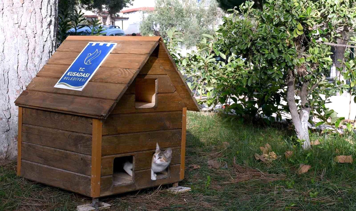 Kuşadası Belediyesi Sokak Hayvanları İçin Çalışmalarını Hızlandırdı