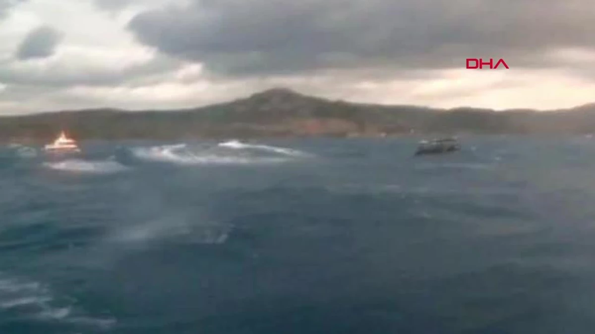 Yunan unsurlarınca Türk kara sularına itilen 29 kaçak göçmen yakalandı