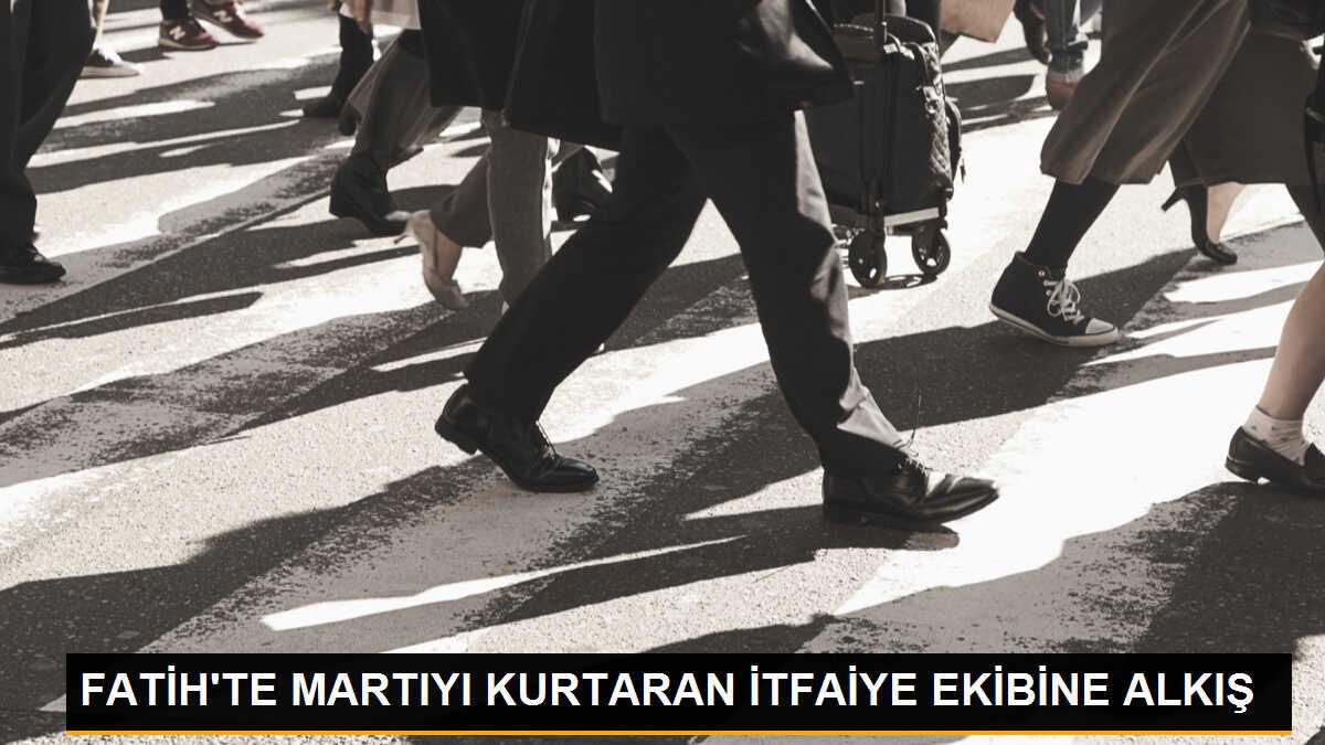 Tramvay hattındaki martı itfaiye ekipleri tarafından kurtarıldı