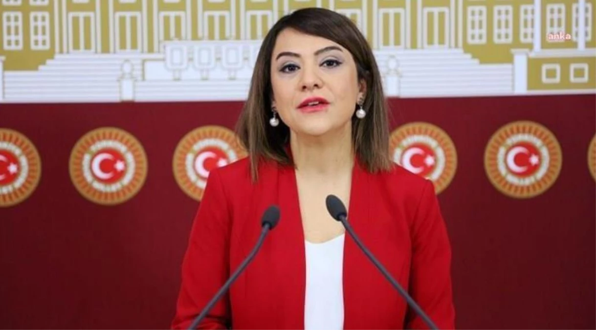 Gamze Taşcıer, Bakan Yerlikaya\'ya Afgan Göçmenin İki Karısının da Eş Olarak Nüfusa Kaydedildiği İddiasını Sordu: "Türkiye\'de Bundan Sonra Afganistan...